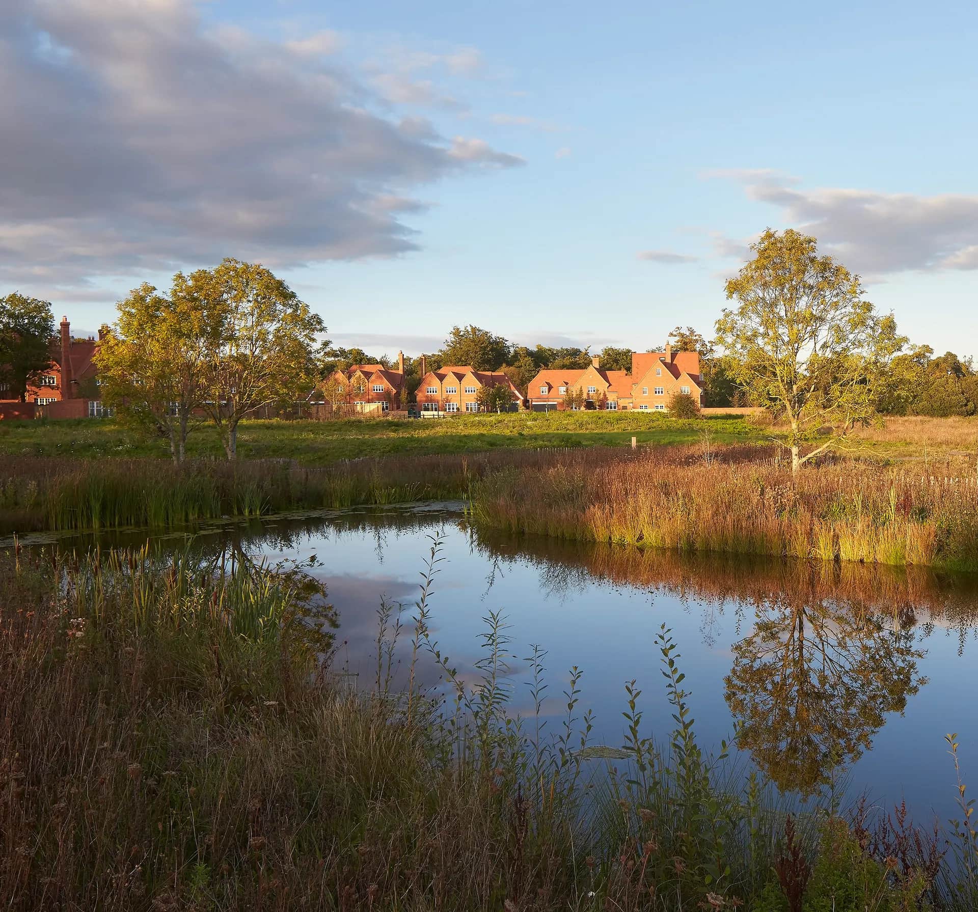 Woodfarm — Multi Dwelling Unit photography