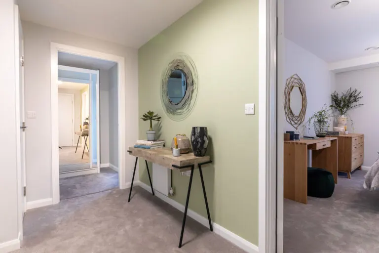Orchid Court — Concepto project photography